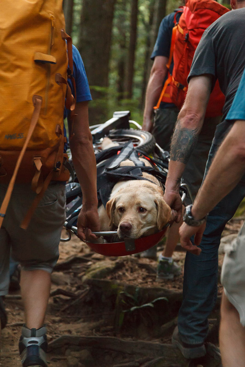 dog injured hiking gets helicopter ride