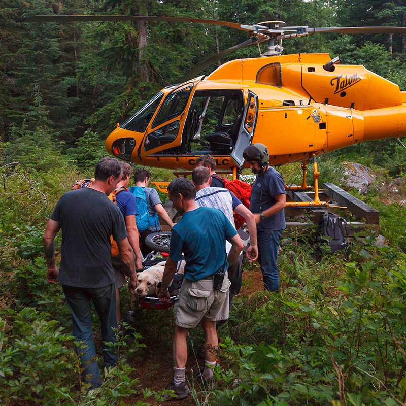 dog injured hiking gets helicopter ride