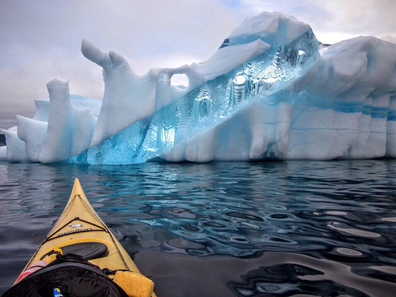 iceberg newfoundland