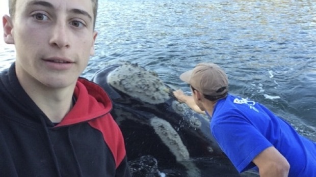 teenager saves whale bag