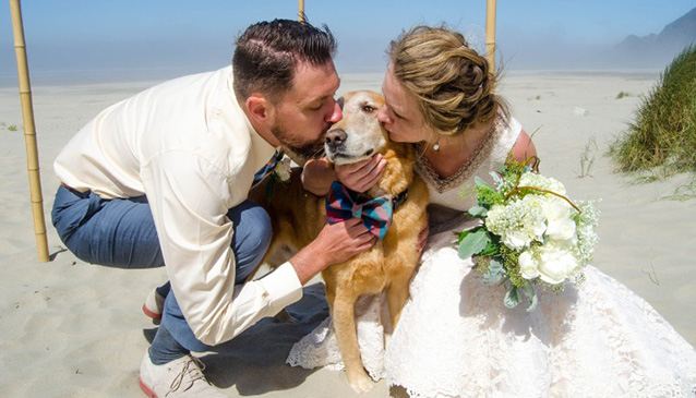 dying dog sees ocean