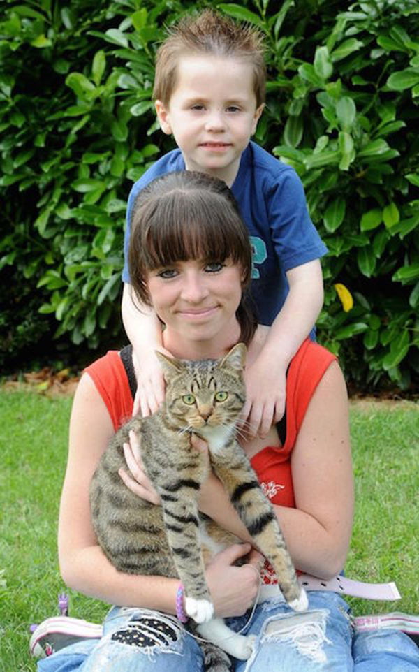 cat saves kid from bully