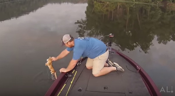 alabama fisherman catch kittens