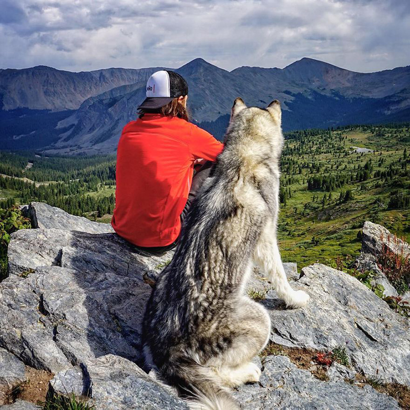 man takes dog on epic adventures