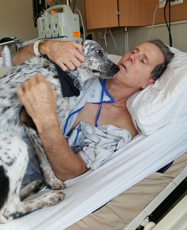 dog hospital visit dad
