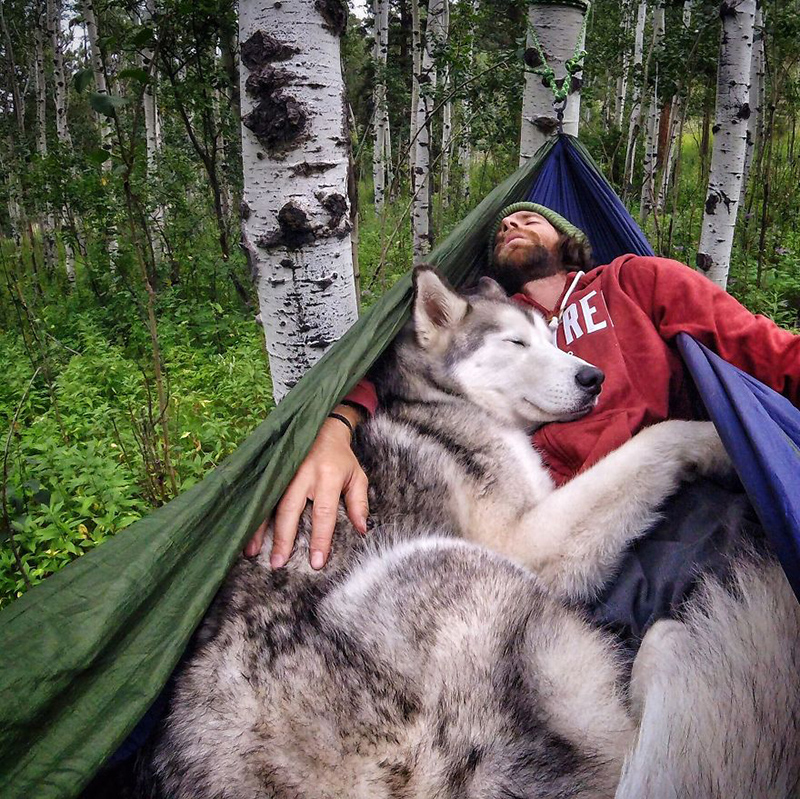 man takes dog on epic adventures