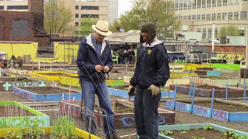 homeless plant rooftop garden