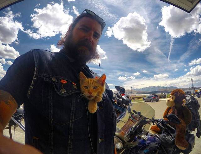biker takes kitten on road trip