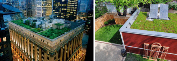 green roofs