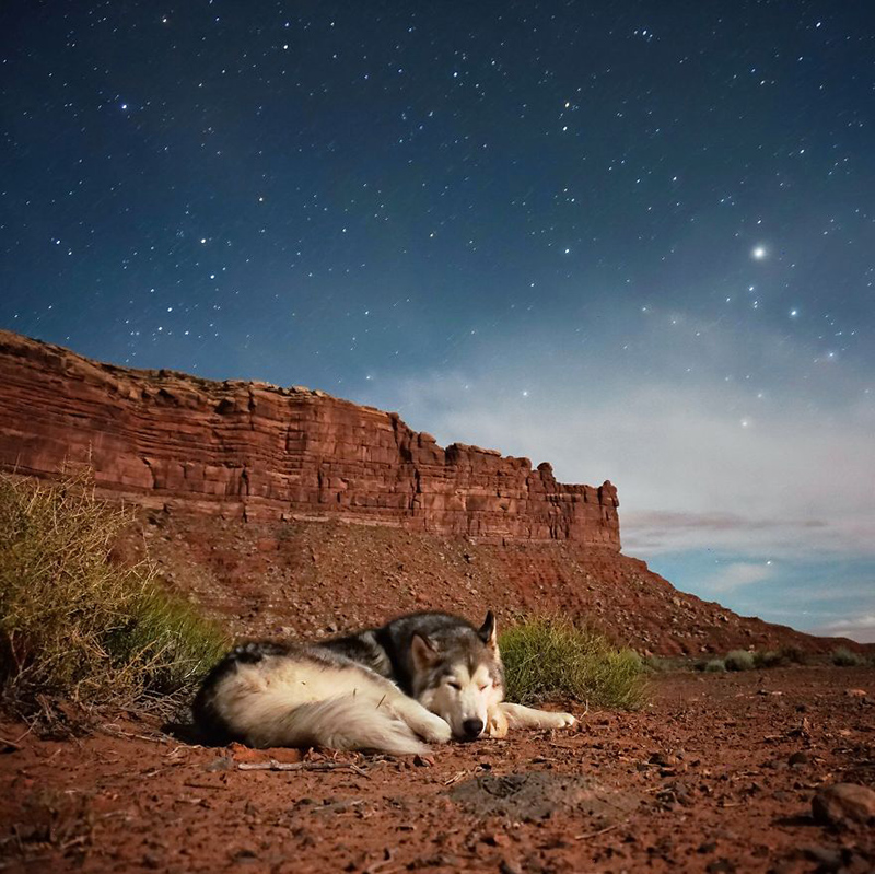 man takes dog on epic adventures