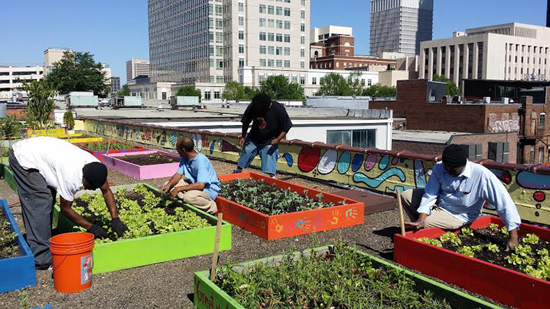 homeless plant rooftop garden