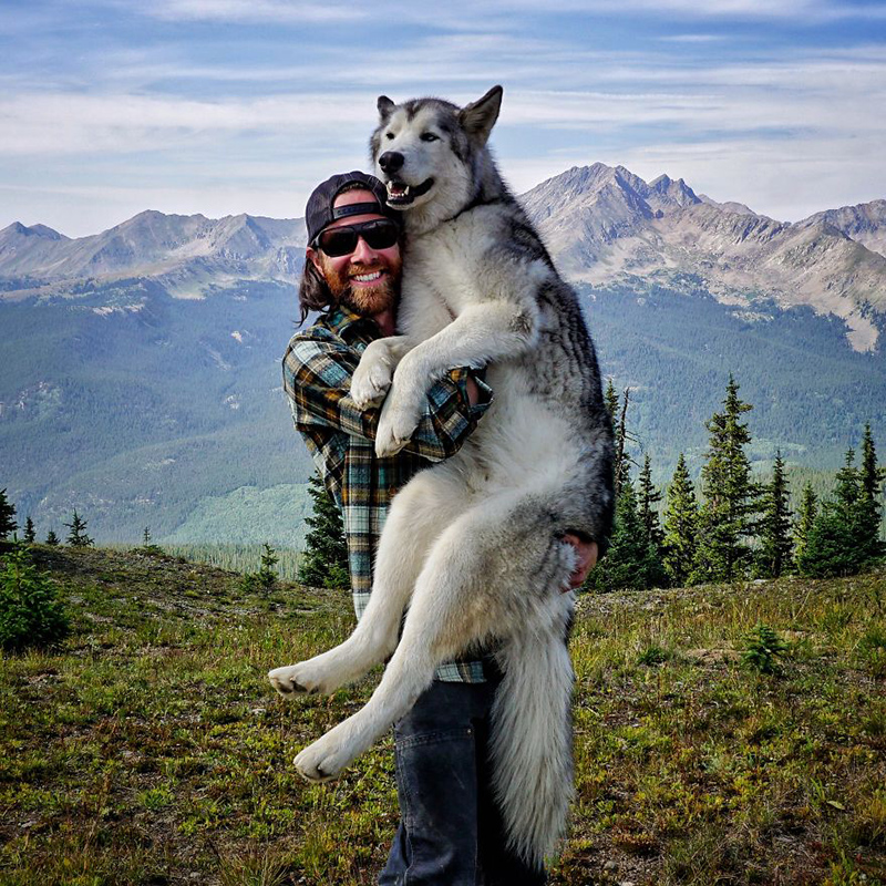 man takes dog on epic adventures