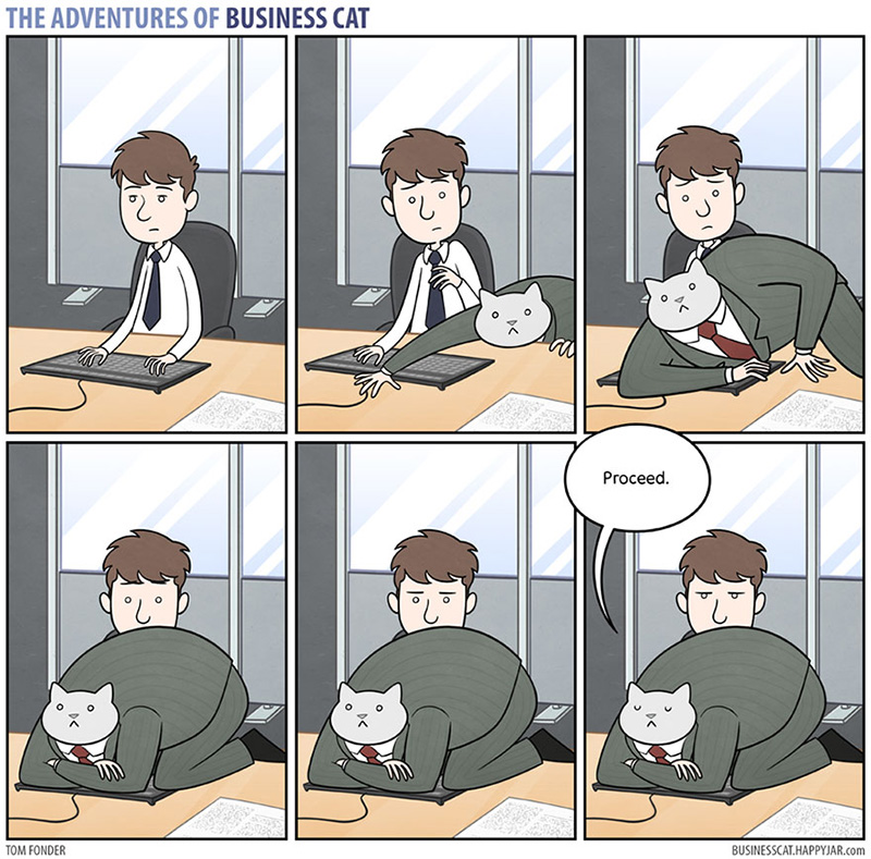 What Your Office Be Like Your Boss Was Cat