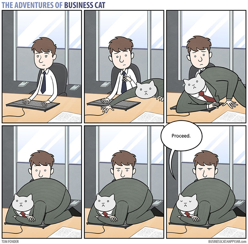 if a cat was your boss funny cartoon