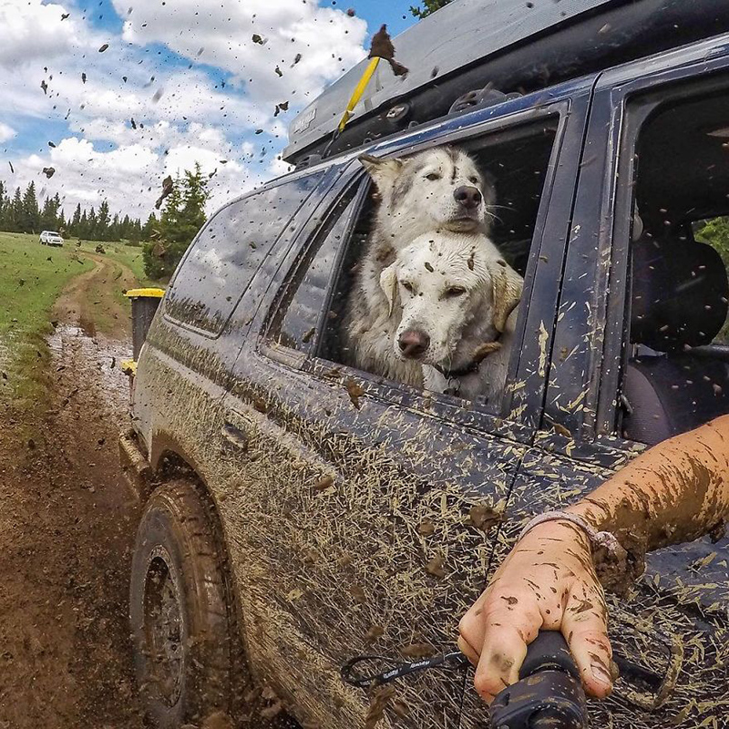 man takes dog on epic adventures