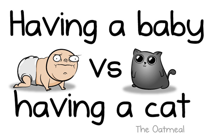 cats vs babies