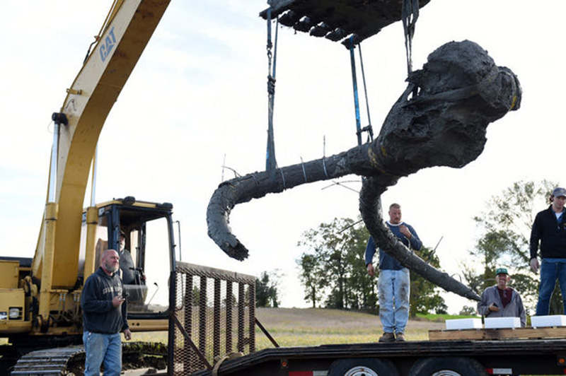 farmer finds woolly mammoth bones