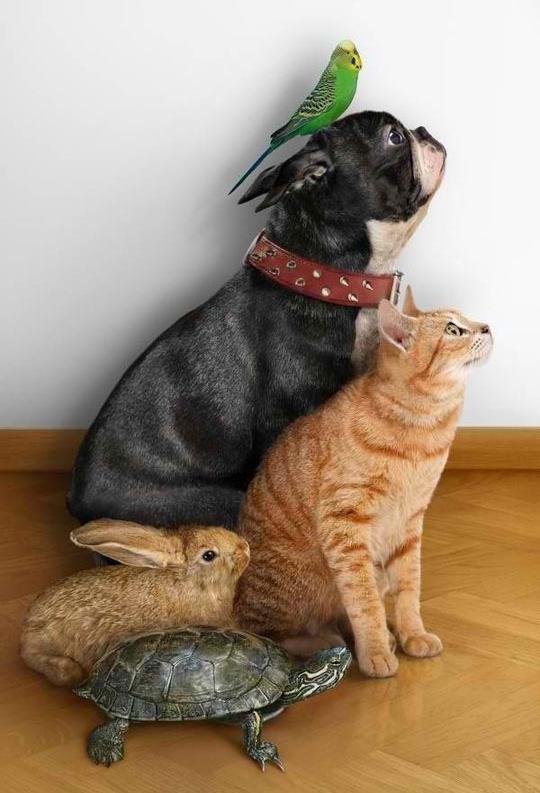 family portrait