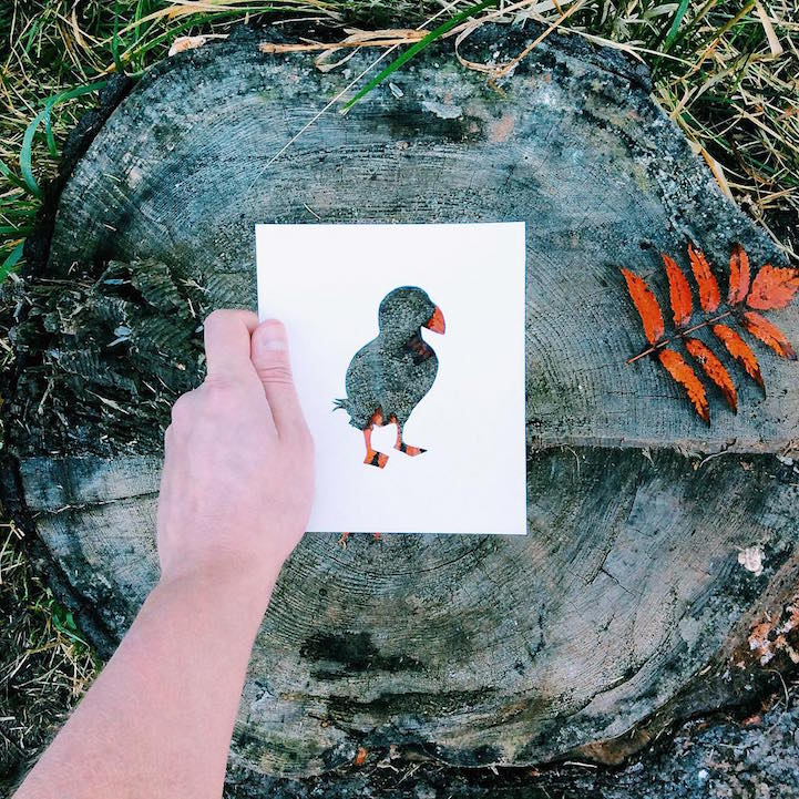 nature cutouts