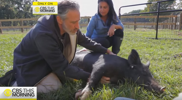 jon stewart animal sanctuary