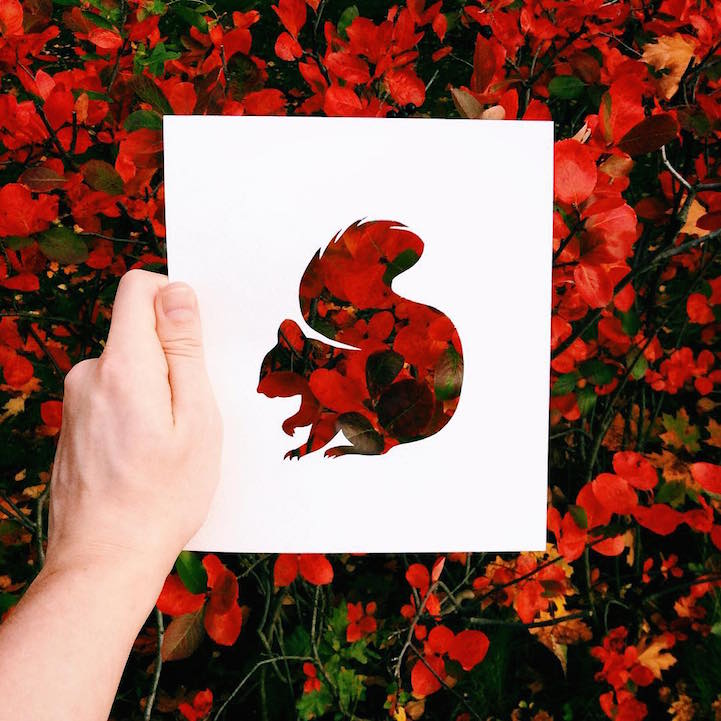 nature cutouts