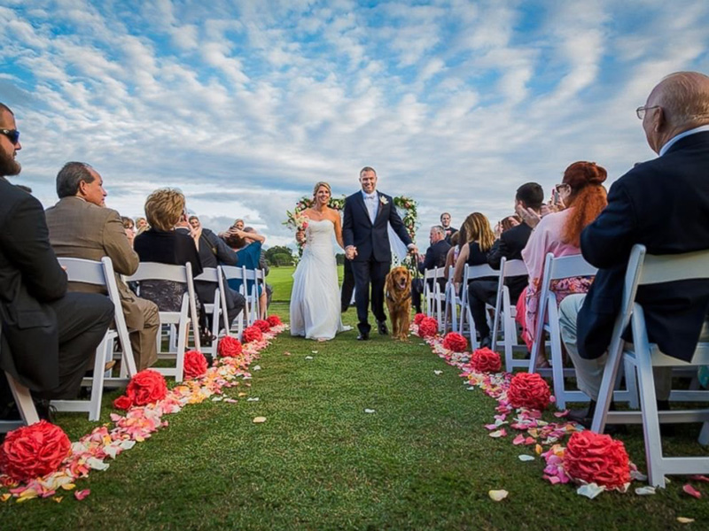 therapy dog serves as best man for veteran