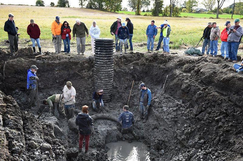 farmer finds woolly mammoth bones