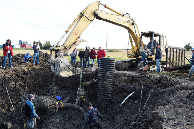 farmer finds woolly mammoth bones