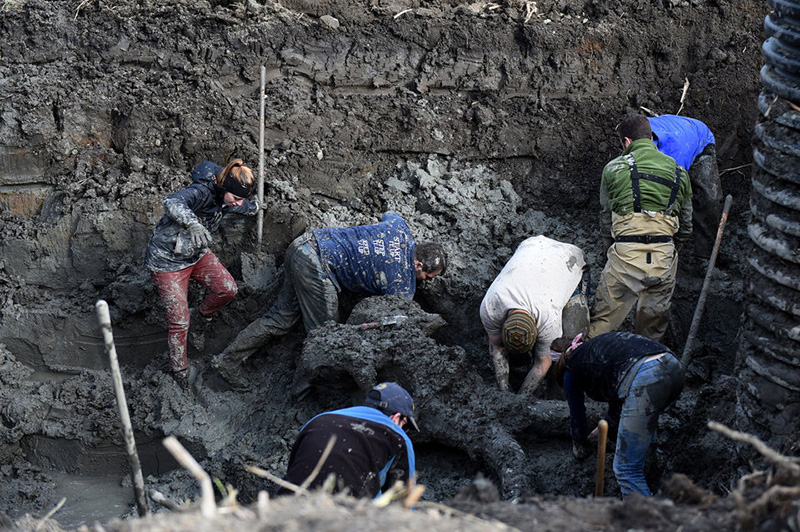 farmer finds woolly mammoth bones