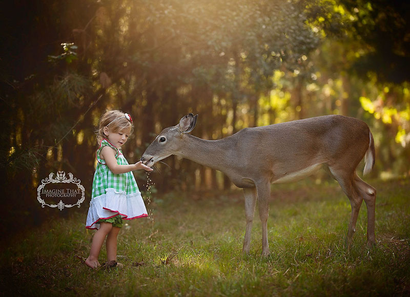 deer photobombs baby photos