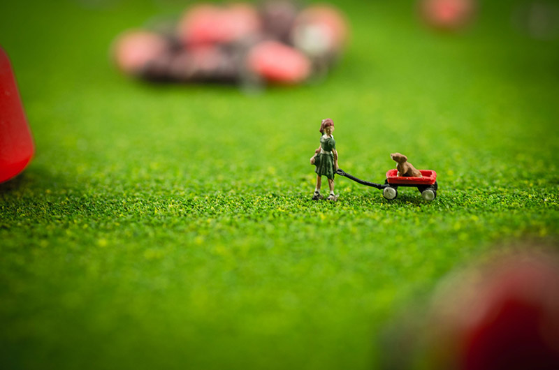 tiny people harvesting candy