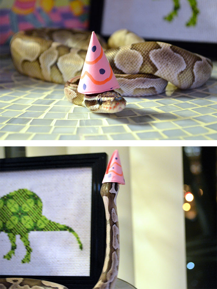 snakes in hats