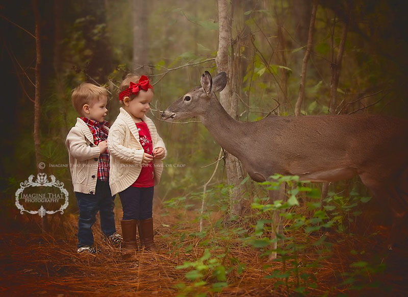 deer photobombs baby photos