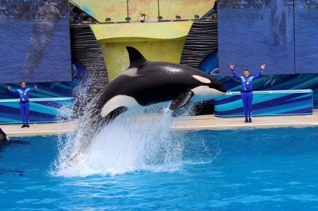 sea world ending orca shows