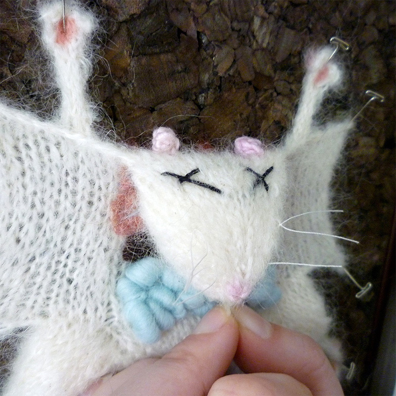 cruelty free knitting anatomy