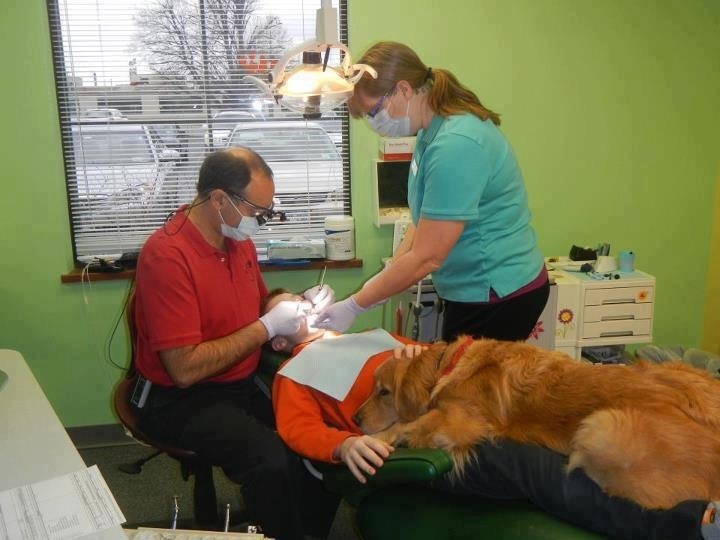 dentist brings dog to help patients