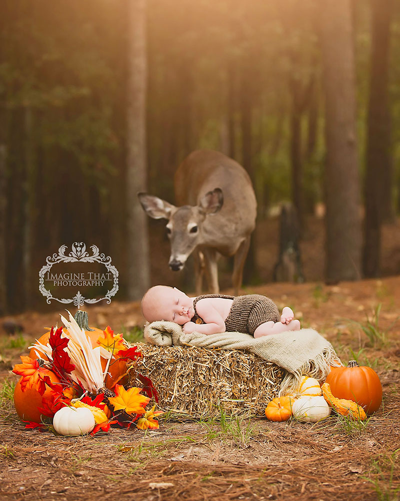 deer photobombs baby photos