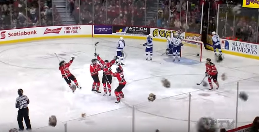 calgary teddy bear toss 2015