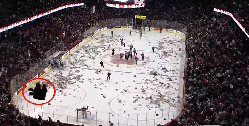 calgary teddy bear toss 2015