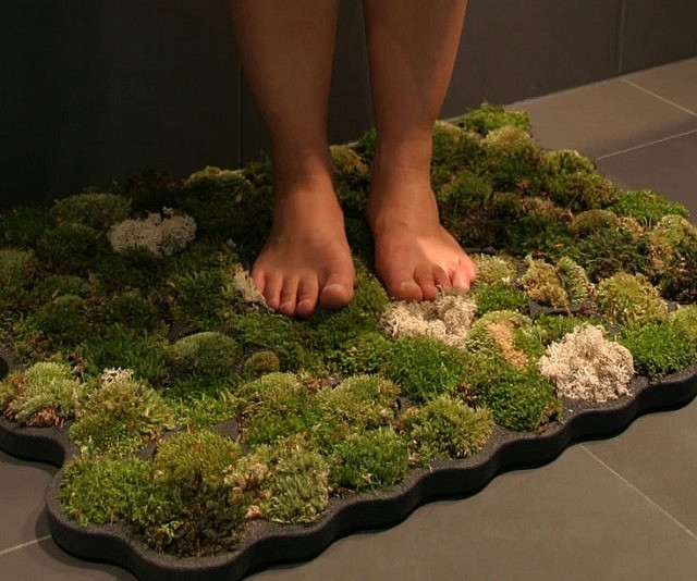 Moss Shower Mats Live Off The Water That Drips Off Of You After A Shower