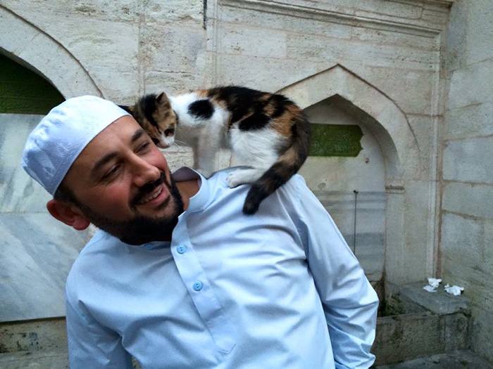 mosque lets in cats to pray