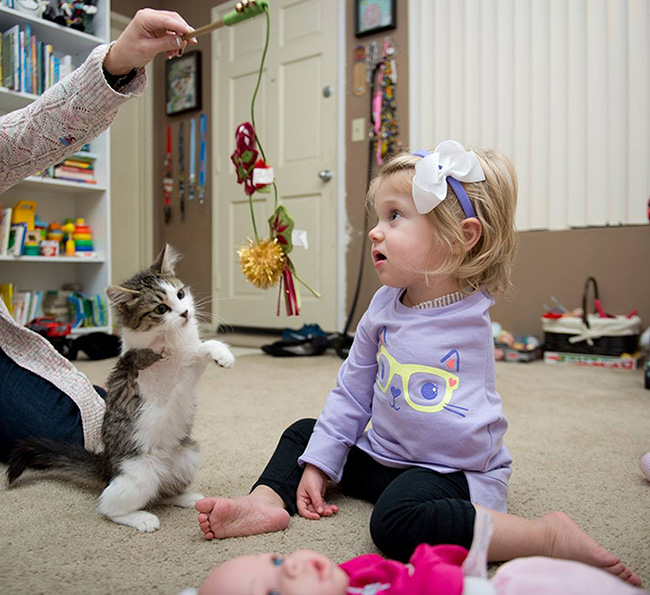 girl and kitten amputee friends