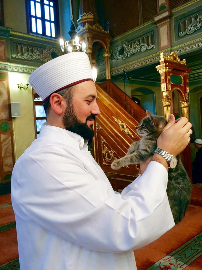 mosque lets in cats to pray