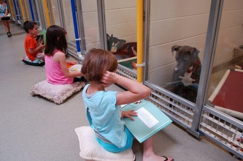 kids reading program animal shelter