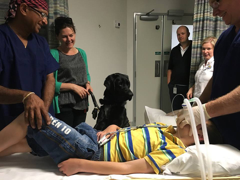 dog goes to surgery with boy