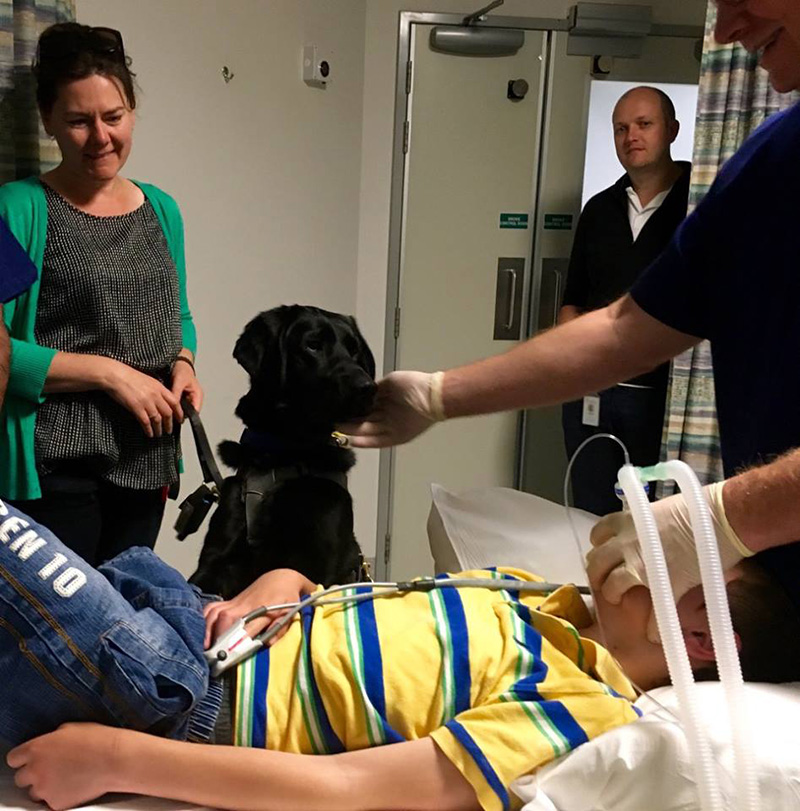 dog goes to surgery with boy