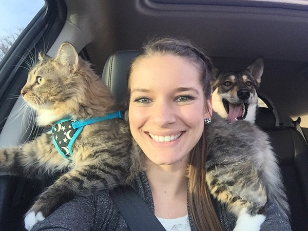 cat likes car rides