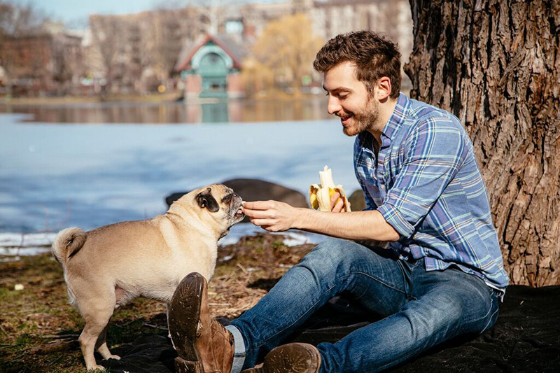 Island long wineries Man And His Rescue Pug Take A Priceless Couples-Themed Photo Shoot On