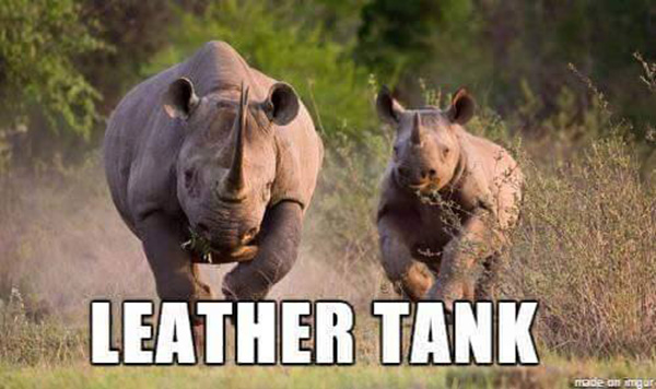 A List Of Animals With More Relatable Names
