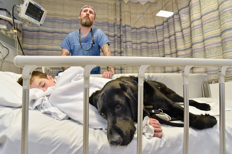 dog goes to surgery with boy